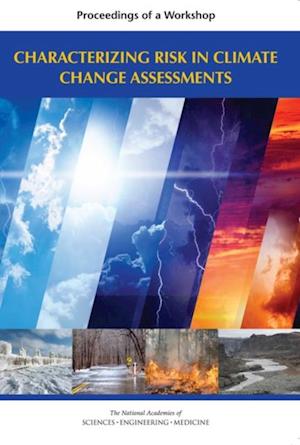 Characterizing Risk in Climate Change Assessments