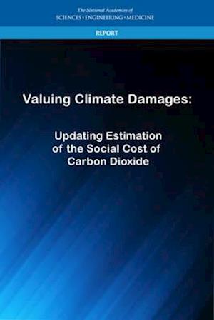 Valuing Climate Damages