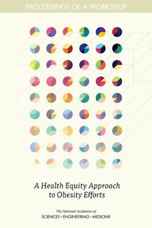A Health Equity Approach to Obesity Efforts