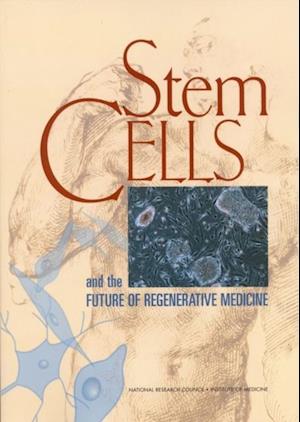 Stem Cells and the Future of Regenerative Medicine