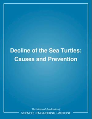 Decline of the Sea Turtles