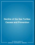 Decline of the Sea Turtles