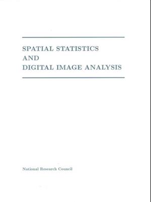 Spatial Statistics and Digital Image Analysis