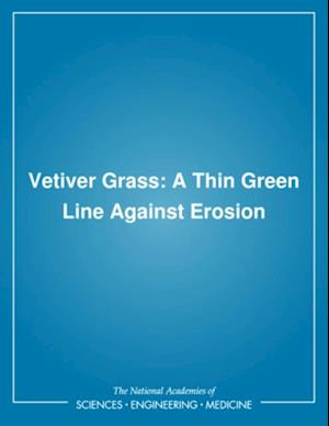 Vetiver Grass