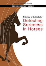 A Review of Methods for Detecting Soreness in Horses