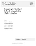 Investing in Resilient Infrastructure in the Gulf of Mexico