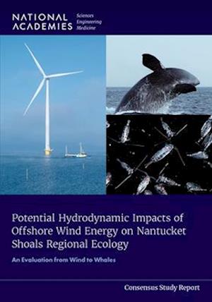 Potential Hydrodynamic Impacts of Offshore Wind Energy on Nantucket Shoals Regional Ecology