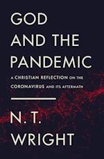 God and the Pandemic: A Christian Reflection on the Coronavirus and Its Aftermath 