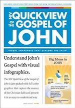 Niv, Quickview of the Gospel of John, Paperback