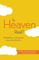 Niv, Is Heaven Real?, Paperback