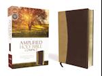 Amplified Holy Bible, Compact, Leathersoft, Tan/Burgundy