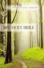 NIV, Value Outreach Bible, Paperback