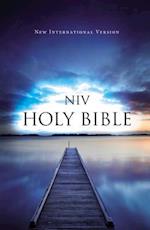 Value Outreach Bible-NIV