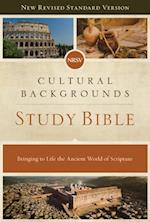 NRSV, Cultural Backgrounds Study Bible