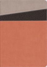 NIV Application Bible, Leathersoft, Coral/Gray, Red Letter, Thumb Indexed, Comfort Print