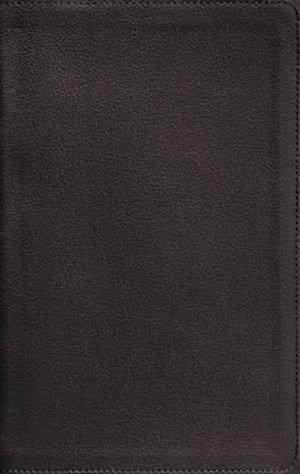 Nasb, Personal Size Bible, Large Print, Genuine Leather, Calfskin, Black, Red Letter, 1995 Text, Comfort Print