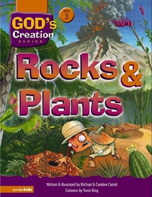 Rocks and Plants