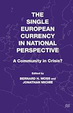 The Single European Currency in National Perspective