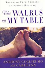 Walrus on My Table