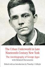 The Urban Underworld in Late Nineteenth-Century New York