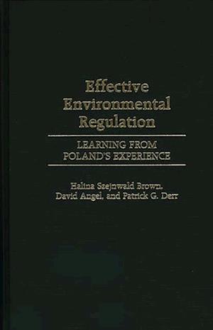 Effective Environmental Regulation