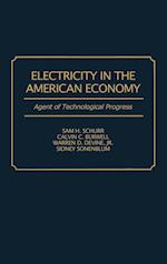 Electricity in the American Economy