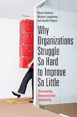 Why Organizations Struggle So Hard to Improve So Little