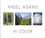 Ansel Adams in Color
