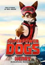 Superpower Dogs: Henry