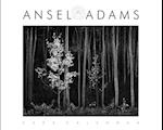 Ansel Adams 2023 Wall Calendar: Authorized Edition: 13-Month Nature Photography Collection (Monthly Calendar)