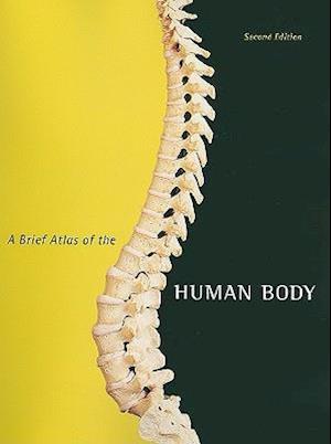 Brief Atlas of the Human Body, A