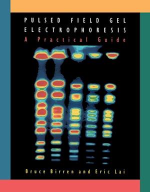 Pulsed Field Gel Electrophoresis