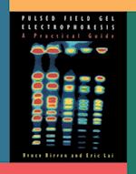 Pulsed Field Gel Electrophoresis