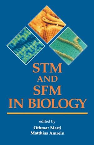 STM and SFM in Biology