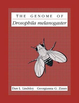 Genome of Drosophila Melanogaster