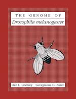 Genome of Drosophila Melanogaster