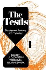 Development, Anatomy, and Physiology