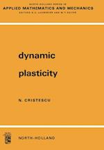 Dynamic Plasticity