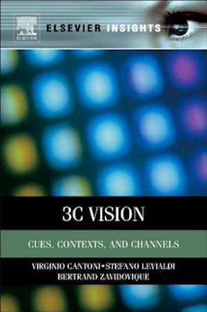 3C Vision