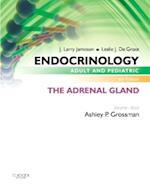 Endocrinology Adult and Pediatric: The Adrenal Gland E-Book