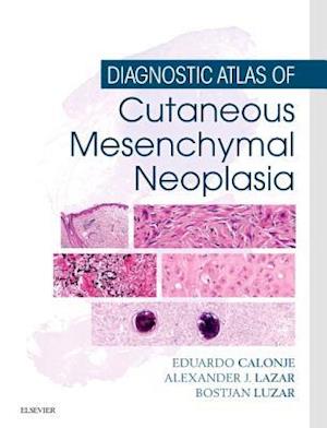 Diagnostic Atlas of Cutaneous Mesenchymal Neoplasia E-Book