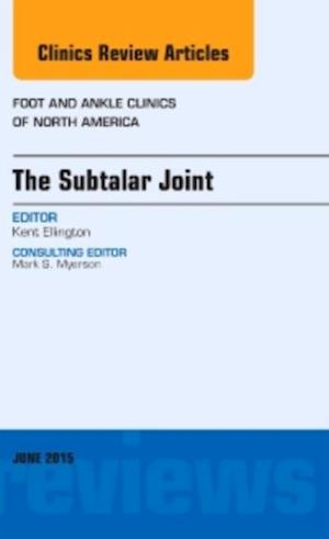 Subtalar Joint, An issue of Foot and Ankle Clinics of North America