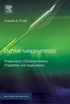 Enzyme Nanoparticles