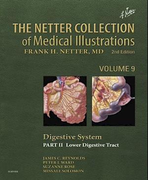 Netter Collection of Medical Illustrations: Digestive System: Part II - Lower Digestive Tract