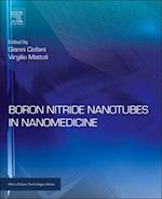 Boron Nitride Nanotubes in Nanomedicine