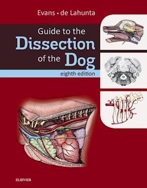 Guide to the Dissection of the Dog - E-Book