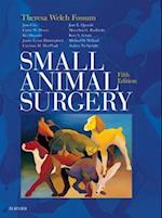 Small Animal Surgery E-Book