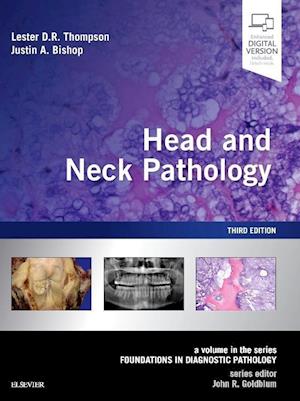 Head and Neck Pathology