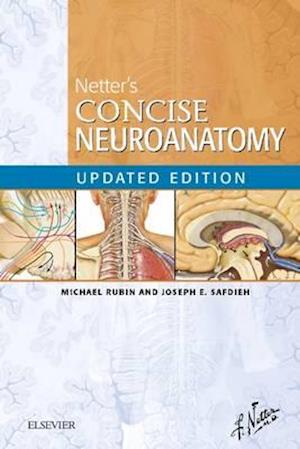 Netter's Concise Neuroanatomy Updated Edition E-Book