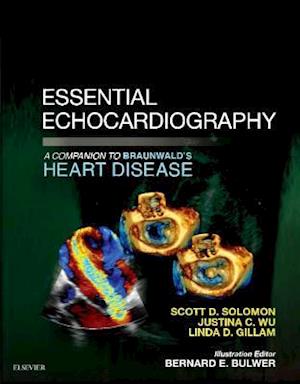 Essential Echocardiography: A Companion to Braunwald's Heart Disease E-Book